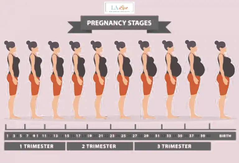 First Trimester (Weeks 1–12): Early Changes You Might Not Notice Walsall